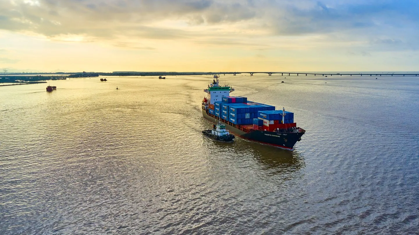 Gemalink with Seed for Sea Project contributes to combat climate change in the Mekong Delta